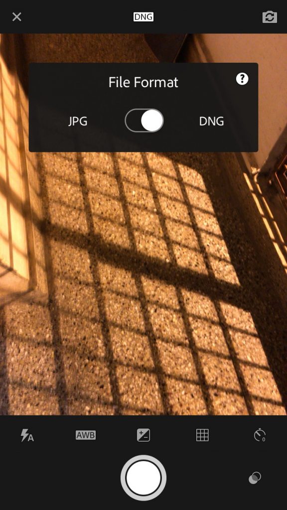Change DNG to JPG setting on iPhone